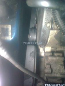 post-404-025058500 1295292516_thumb.jpg