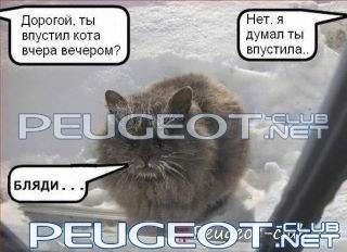 peugeot-lab.net - x_31214137.jpg