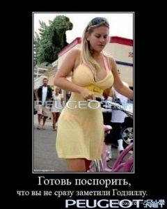 peugeot-lab.net - x_bb01ecb5.jpg