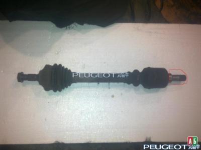 [Peugeot-Club.net] - poluos.jpg