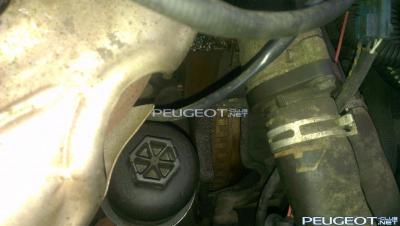 [Peugeot-Club.net] - IMAG0731.jpg