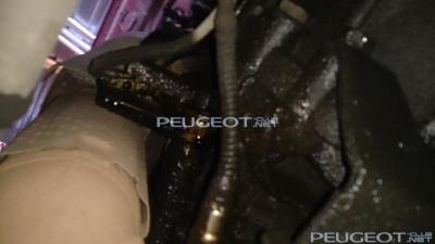 [Peugeot-Club.net] - DSC_0140.JPG