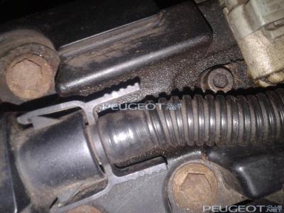 [Peugeot-Club.net] - Фото-0584.jpg