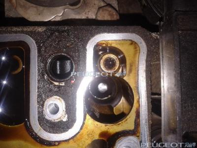 [Peugeot-Club.net] - Фото-0591.jpg