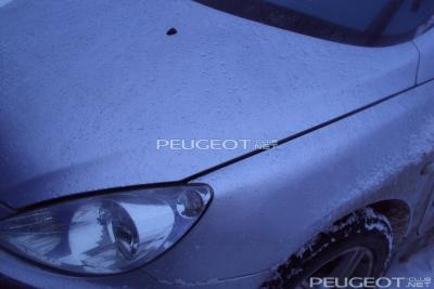 [Peugeot-Club.net] - DSC02616.JPG