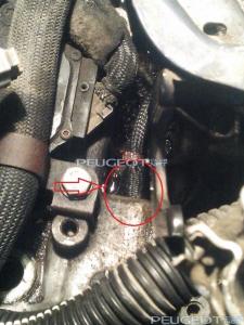 [Peugeot-Club.net] - IMG-20150114-WA0000.jpg