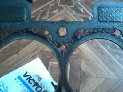 2016-12-14 13.41.53.jpg