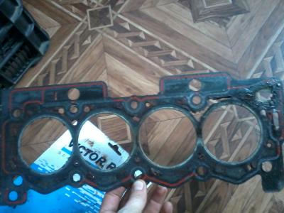 2016-12-14 13.41.20.jpg