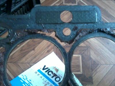 2016-12-14 13.41.43.jpg