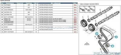 peugeot-lab.net - грм.jpg