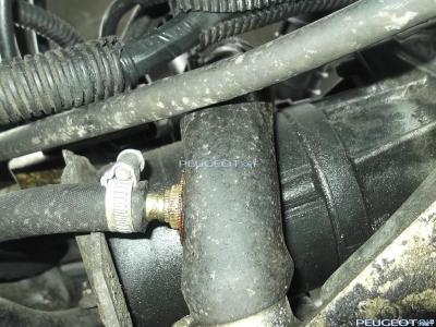 peugeot-lab.net - DSCF03101.jpg