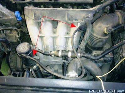 peugeot-lab.net - 11022012320.jpg