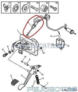 [Peugeot-Club.net] - p406.jpg