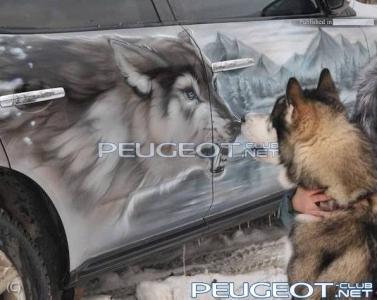 [Peugeot-Club.net] - -nI8KFzx9-E.jpg