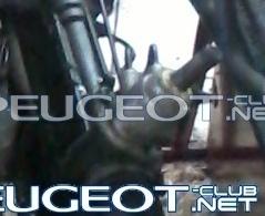 [Peugeot-Club.net] - mangeta.jpg