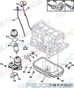[Peugeot-Club.net] - HEIXEV5YNBMWBwtEUgNGXFJEWAlYCEdf.jpg