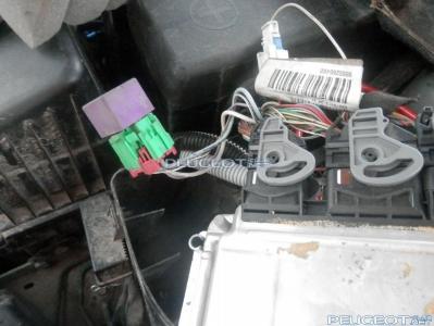 [Peugeot-Club.net] - P2110028.JPG