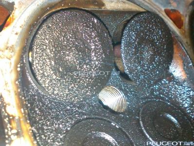 [Peugeot-Club.net] - IMG_20140219_202009.jpg