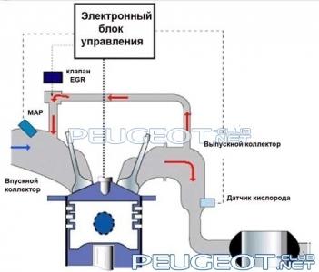 [Peugeot-Club.net] - egr.jpg