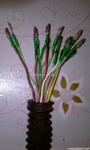 [Peugeot-Club.net] - IMAG0092.jpg