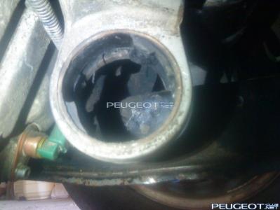 [Peugeot-Club.net] - DSC00543.JPG