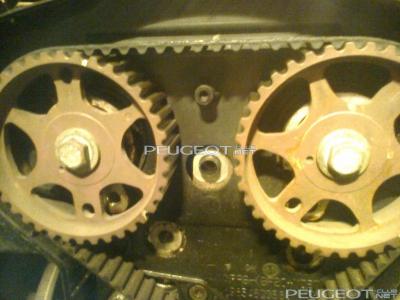 [Peugeot-Club.net] - Фото0295.jpg