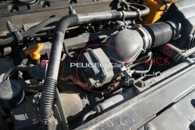 [Peugeot-Club.net] - DSC06493.JPG