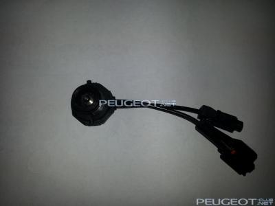 [Peugeot-Club.net] - 20150206_114648_ул. Добролюбова.jpg