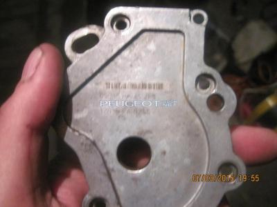 фотографии 611.jpg