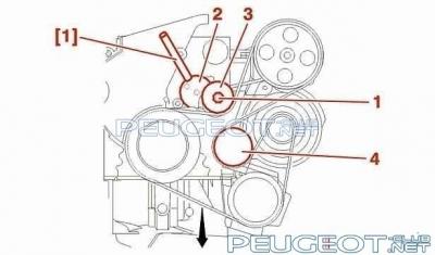 схема ремня генератора.jpg