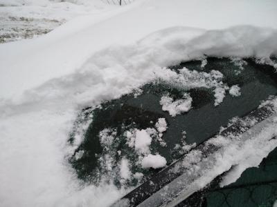 IMG_20180204_101928 (1).jpg