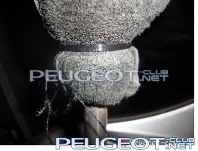 peugeot-lab.net - DSC09424.JPG