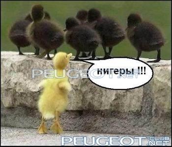 peugeot-lab.net - x_4f68cf4d.jpg