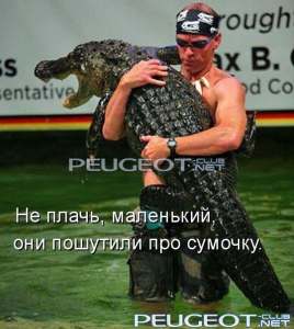 peugeot-lab.net - untitled.png