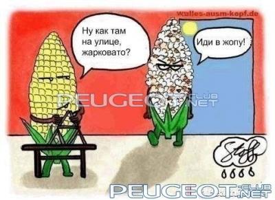 peugeot-lab.net - x_027a027a.jpg