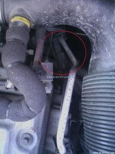 peugeot-lab.net - IMAGE_152.jpg