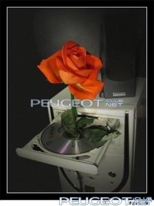 peugeot-lab.net - 201535webbig52297.jpg