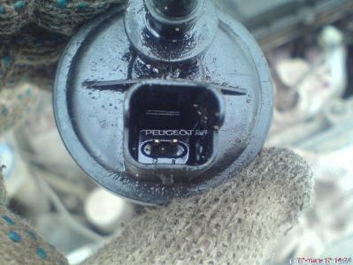 peugeot-lab.net - DSC07098.JPG