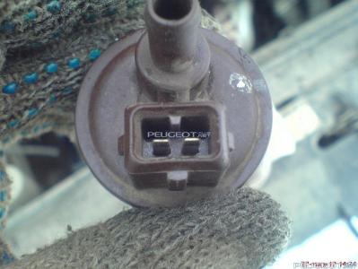 peugeot-lab.net - DSC07099.JPG