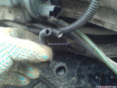 peugeot-lab.net - DSC07117.JPG