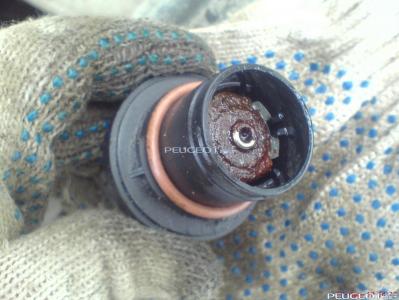 peugeot-lab.net - DSC07097.JPG