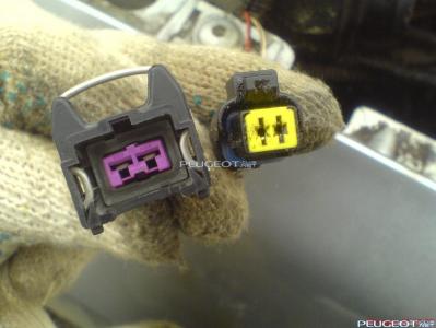 peugeot-lab.net - DSC07111.JPG