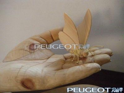 [Peugeot-Club.net] - 1.jpg