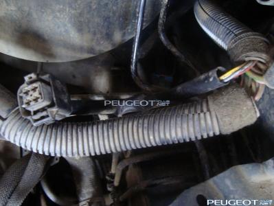 [Peugeot-Club.net] - DSC01657.JPG