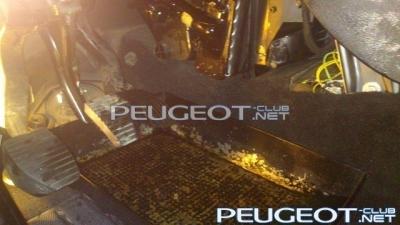 [Peugeot-Club.net] - 1.jpg