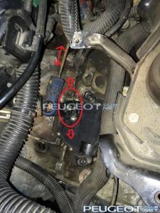 [Peugeot-Club.net] - IMG_2742 стрелки.jpg
