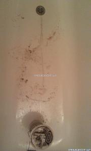 [Peugeot-Club.net] - IMAG0193.jpg