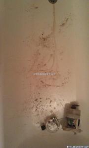 [Peugeot-Club.net] - IMAG0194.jpg