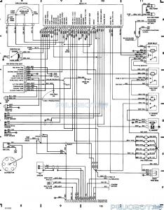 [Peugeot-Club.net] - Motronic 1.3 35 pin.jpg