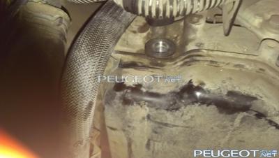 [Peugeot-Club.net] - 3.jpg